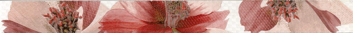 Фриз L.Romance-2 Vino 4.7x50 000000602 by Halcon  (Іспанія) color Червоний