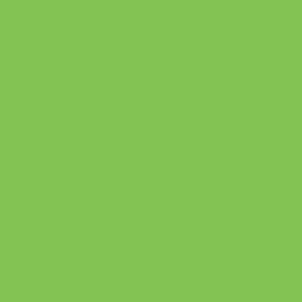 Плитка ALMERA CERAMICA RAINBOW 60х60 зелена 000016095  color Зелений