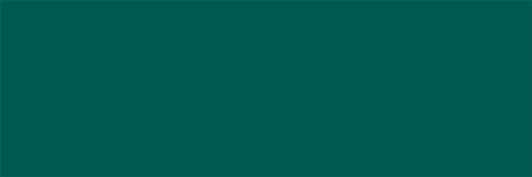 Плитка стіна Emerald Forest  Rett 25x75 000015644 by CERAMICA BIANCA (Польща) color Зелений