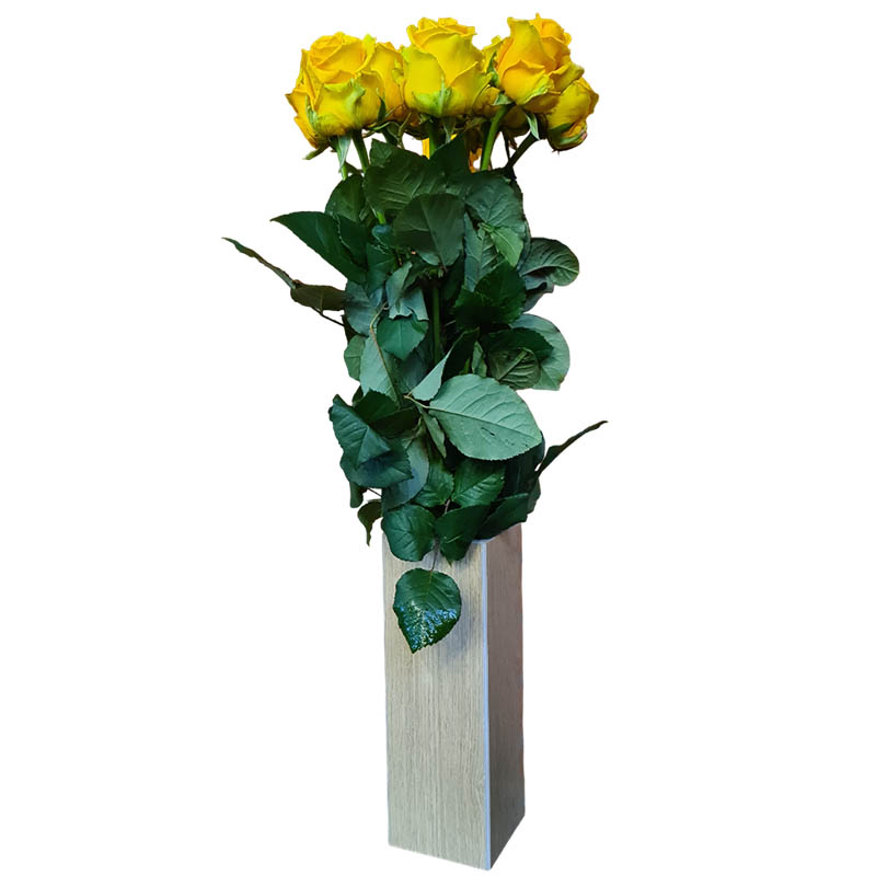 Кашпо для квітів mini 10х10х29 під бежеве дерево 000016075 by Керамічні Маси Донбасу (DCB) color Бежевий