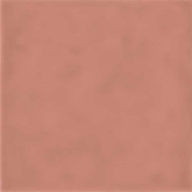 Плитка Виктория 20х20 коричневый 000003269 by Kerama Marazzi (Италия) color Коричневый